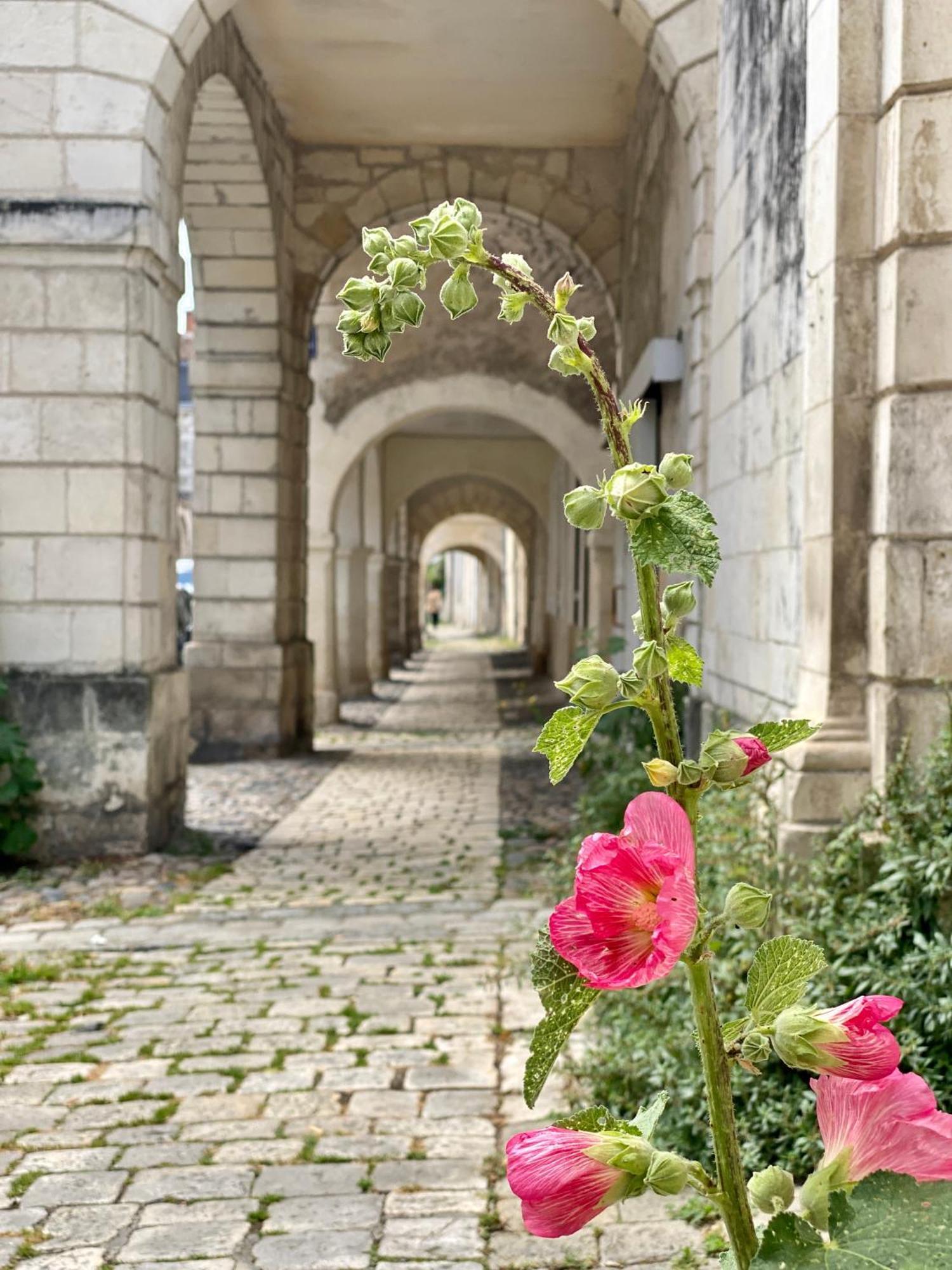 Les Pertuis Rochelais Bed & Breakfast Perigny  ภายนอก รูปภาพ